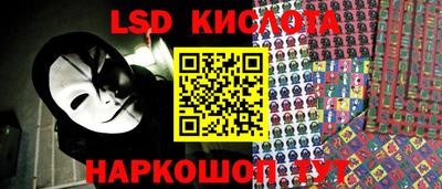 прущие грибы Рыбинск