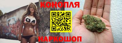 прущие грибы Рыбинск