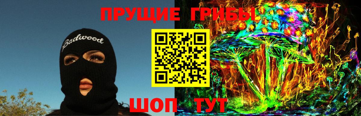 Ртищево  Псилоцибиновые грибы GOLDEN TEACHER  Вход с VPN  Псилоцибиновые грибы Magic Shrooms 