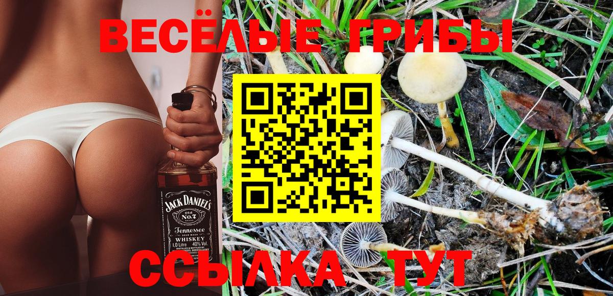 Псилоцибиновые грибы прущие грибы Ртищево